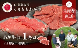 【ふるさと納税】生産者直送!GI認証　くまもとあか牛すき焼き用(500g)・焼き肉用(500g)食べ比べセット