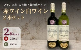 【ふるさと納税】大谷の天然地下蔵で深みを増すワイン 赤ワイン・白ワイン 2本セット【配送不可地域：離島】