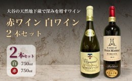 【ふるさと納税】大谷の天然地下蔵で深みを増すワイン 白ワイン・赤ワイン 2本セット【配送不可地域：離島】