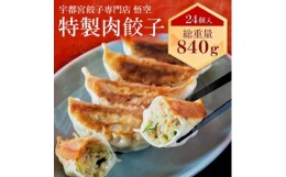 【ふるさと納税】宇都宮餃子専門店 悟空　特製肉餃子24個入 ？ 餃子 冷凍 ぎょうざ ギョーザ 名物 惣菜 国産野菜 国産豚肉 おかず 弁当 