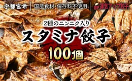 【ふるさと納税】宇都宮餃子 ニンニクマシマシ スタミナ餃子 100個 保存料不使用【冷凍餃子 ぎょうざ ギョウザ にんにく 冷凍食品 惣菜 