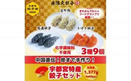 【ふるさと納税】「宇都宮餃子加盟店」寿限無餃子の宇都宮特産餃子セット(3種×各3個・計9個入り)