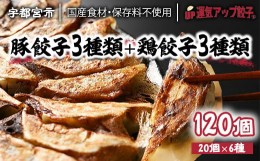 【ふるさと納税】宇都宮餃子 6種類味比べ(合計120個)【 餃子 食べ比べセット 冷凍餃子 冷凍食品 惣菜 栃木県 宇都宮市 】※配送不可地域