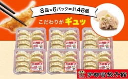 【ふるさと納税】「宇都宮餃子館」のお肉餃子 8個入り×6パック(計48個)