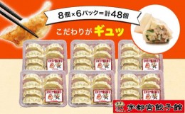 【ふるさと納税】「宇都宮餃子館」のスタミナ餃子 8個入り×6パック(計48個)