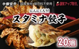 【ふるさと納税】宇都宮餃子 ニンニクマシマシ スタミナ餃子 20個 保存料不使用【冷凍餃子 ぎょうざ ギョウザ 冷凍食品 惣菜 栃木県 宇都