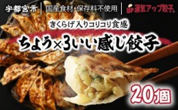 【ふるさと納税】宇都宮餃子 ちょう×3いい感じ餃子 20個 保存料不使用【 餃子 ぎょうざ 冷凍餃子 冷凍食品 惣菜 栃木県 宇都宮市 】※配