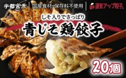 【ふるさと納税】宇都宮餃子 香り鮮やか 青じそ鶏餃子 20個 保存料不使用【 餃子 ぎょうざ 冷凍餃子 冷凍食品 惣菜 栃木県 宇都宮市 】※