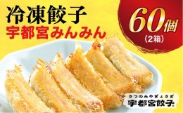 【ふるさと納税】【宇都宮みんみん】　餃子30個入り×2箱【配送不可地域：離島】