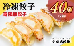 【ふるさと納税】【寿限無餃子】　餃子20個入り×2箱【配送不可地域：離島】