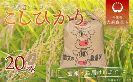 【ふるさと納税】令和5年産 千葉県産エコ米「コシヒカリ」玄米20kg（20kg×1袋） お米 20kg 千葉県産 大網白里市 コシヒカリ エコ米 米 