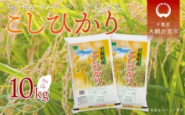 【ふるさと納税】令和5年産 千葉県産「コシヒカリ」10kg（5kg×2袋） お米 10kg 千葉県産 大網白里市 コシヒカリ 米 精米 こめ 送料無料