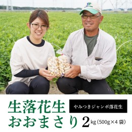 【ふるさと納税】生落花生 おおまさり 2kg とれたて 耕地の美味しい野菜シリーズ第1弾　H132-022