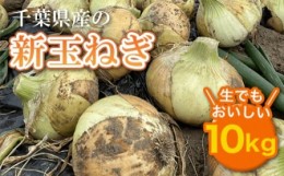 【ふるさと納税】【先行受付】千葉県産 新玉ねぎ10kg 生でもおいしい！【2024年5月上旬から順次発送】 玉ネギ たまねぎ タマネギ 玉葱 新