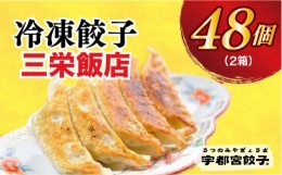 【ふるさと納税】【三栄飯店】　餃子24個入り×2箱