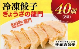 【ふるさと納税】【龍門】　餃子20個入り×2箱