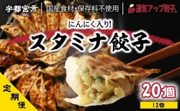 【ふるさと納税】『定期便』宇都宮餃子　スタミナ餃子　保存料不使用　全12回【配送不可地域：離島】