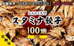 【ふるさと納税】『定期便』宇都宮餃子　ニンニクマシマシスタミナ餃子100個　保存料不使用　全12回【配送不可地域：離島】