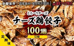 【ふるさと納税】『定期便』宇都宮餃子　チーズ鶏餃子　保存料不使用100個　全12回【配送不可地域：離島】