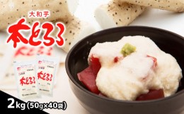 【ふるさと納税】本 とろろ 大和芋  ( 冷凍 ) | 冷凍食品 人気 すりおろし 急速冷凍 山芋 いも とろろ 小分け 便利 調理 和食 日本食 | 