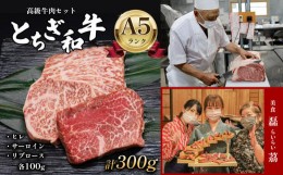 【ふるさと納税】とちぎ和牛 高級牛肉セット 2人前 A5ランク ヒレ / サーロイン / リブロース 各100g ( 合計 300g )  真岡市 栃木県