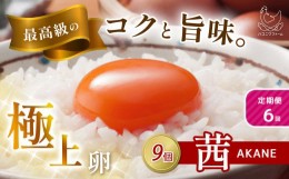 【ふるさと納税】【定期便6回】 高級品質 ! 箱庭たまご 「茜」 9個 真岡市 栃木県