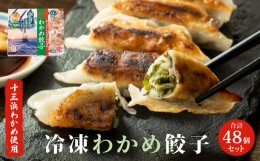 【ふるさと納税】わかめ餃子　48個セット