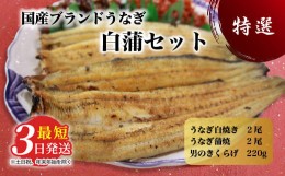 【ふるさと納税】国産うなぎ白蒲セット4本【最短3日発送】うなぎの白焼き（120g〜130g×2尾）、うなぎの蒲焼き（120g〜130g×2尾）、男の