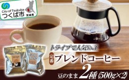 【ふるさと納税】トライブで人気NO1定番ブレンドコーヒー2種(500g×2)[豆のまま]