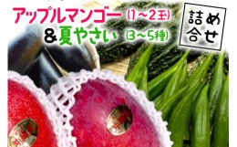 【ふるさと納税】【2024年発送】沖縄産　アップルマンゴー(1〜2玉)＆夏野菜(3〜5種)の詰め合わせ