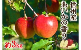 【ふるさと納税】【010-11】幻のりんご　あいかの香り　約3キロ　信州が生んだ希少なりんごです（りんご・リンゴ・林檎）