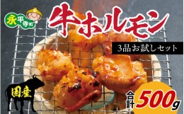 【ふるさと納税】国産牛ホルモン3品 お試しセット 約500g [B-019001]