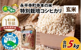 【ふるさと納税】令和5年産  無農薬・化学肥料不使用 永平寺町寺本の米 特別栽培コシヒカリ 玄米 5kg [B-027009]