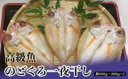 【ふるさと納税】高級魚のどぐろ一夜干し（あかむつ類）