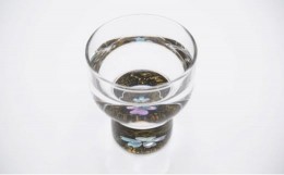 【ふるさと納税】【高岡漆器】杯　金桜（貝入）黒[?5616-0841]