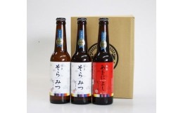 【ふるさと納税】クラフトビール 紅白3本セット I-134