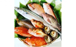 【ふるさと納税】京都府宮津市産『朝どれ！山一鮮魚おおきに便』約4〜5kg《未加工》 [?5716-7008]0240