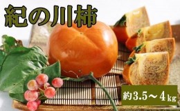 【ふるさと納税】【希少】紀の川柿(種無し)約3.5〜4kg・秀品※10月中旬から11月中旬順次発送