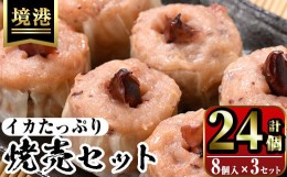 【ふるさと納税】化粧箱入り！イカ屋が作ったイカたっぷり焼売セット(計24個・8個入×3セット)【sm-AJ001】【福栄】