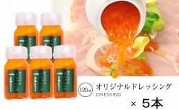 【ふるさと納税】三田屋 総本家 ドレッシング 120ml×5本セット_B01101