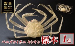 【ふるさと納税】＜数量限定＞ベニズワイガニ キトサン 標本(1点)【sm-BR001】【甲陽ケミカル】