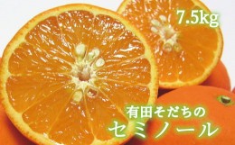 【ふるさと納税】有田育ちの爽快セミノールオレンジ(ご家庭用)　約７．５kg　※2025年4月より順次発送予定