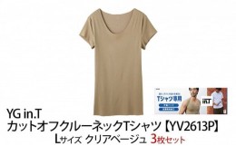 【ふるさと納税】グンゼ YG in.T カットオフクルーネックTシャツ【YV2613P】Lサイズ クリアベージュ3枚セット GUNZE[?5716-0423]