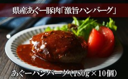 【ふるさと納税】あぐーハンバーグ （ 180g × 10個 ）