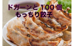 【ふるさと納税】ドガーンと100個！もっちり餃子