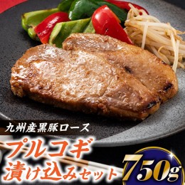 【ふるさと納税】AB186.九州産黒豚ロースプルコギ漬け込みセット（750g）