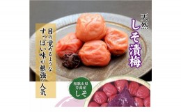 【ふるさと納税】しそ漬梅 (1kg×1箱）