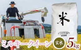 【ふるさと納税】数量限定 【令和6年産先行予約】 山形県庄内産 小池半左衛門のお米 ミルキークイーン 玄米 5kg (5kg×1袋)