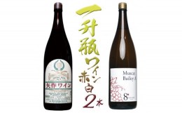 【ふるさと納税】築宝一升瓶赤ワイン白ワイン　2本セット　127-013