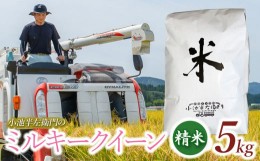 【ふるさと納税】数量限定 【令和6年産先行予約】 山形県庄内産 小池半左衛門のお米 ミルキークイーン 精米 5kg (5kg×1袋)